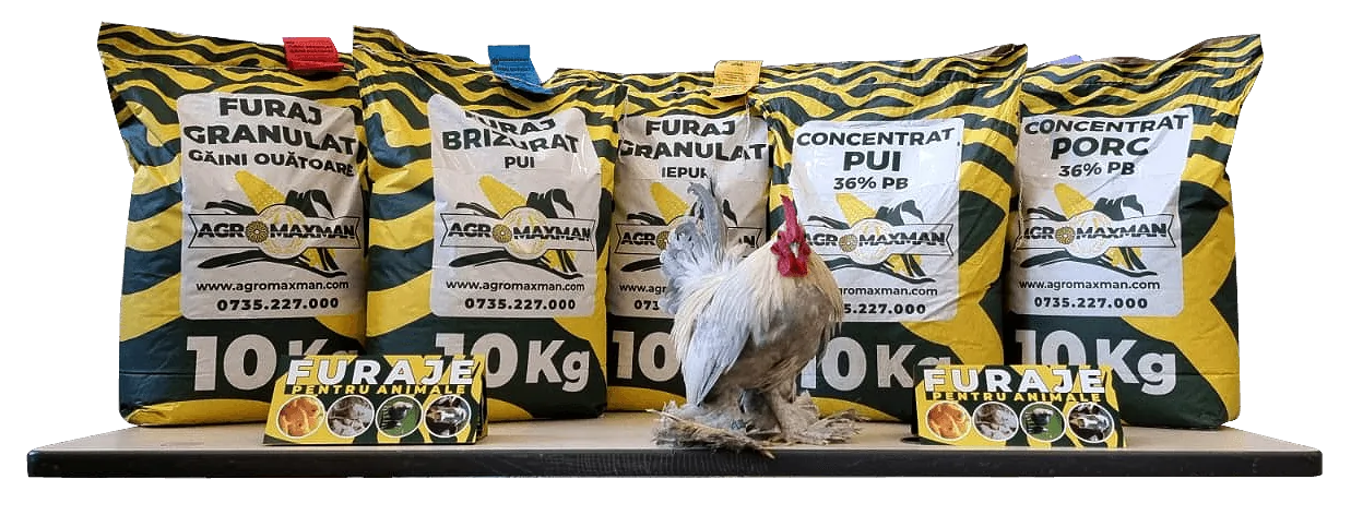 Furaje bogate în minerale și vitamine esențiale